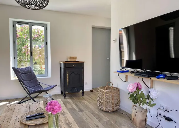 Geranium Saint Gilles Croix De Vie